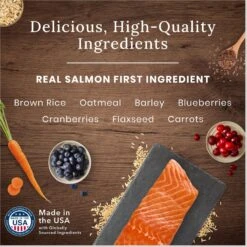 Blue Buffalo Wilderness Adult High Protein Natural Salmon & Wholesome Grains Dry Dog Food & Blue Buffalo Wilderness Trail Treats Grain-Free Salmon Biscuits Dog Treats -Cozy Paws 796254 PT3. AC SS1800 V1678140283