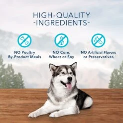 Blue Buffalo Wilderness Adult High Protein Natural Salmon & Wholesome Grains Dry Dog Food & Blue Buffalo Wilderness Trail Treats Grain-Free Salmon Biscuits Dog Treats -Cozy Paws 796254 PT8. AC SS1800 V1678140286