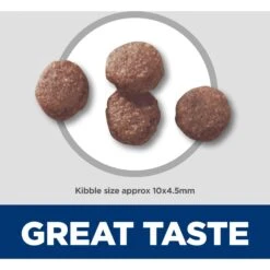 Hill's Science Diet Puppy Lamb Meal & Brown Rice Recipe Dry Dog Food -Cozy Paws 804046 PT4. AC SS1800 V1699365932