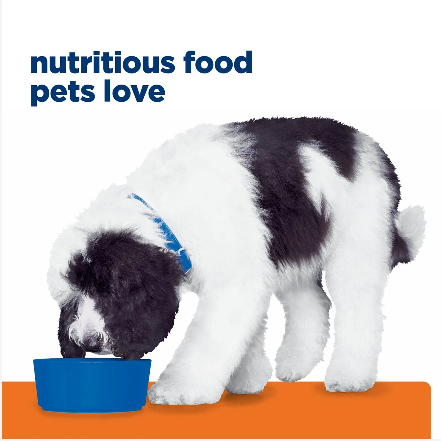 Hill's Prescription Diet C/d Multicare Urinary Care Chicken & Vegetable Stew Canned Dog Food 10 Hill's Prescription Diet C/d Multicare Urinary Care Chicken & Vegetable Stew Canned Dog Food - Image 8