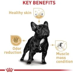 Royal Canin Breed Health Nutrition French Bulldog Adult Dry Dog Food -Cozy Paws 81123 PT4. AC SS1800 V1697212427