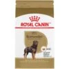 Royal Canin Breed Health Nutrition Rottweiler Adult Dry Dog Food -Cozy Paws 81125 MAIN. AC SS1800 V1695156230