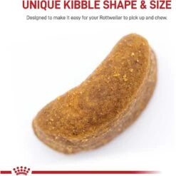 Royal Canin Breed Health Nutrition Rottweiler Adult Dry Dog Food -Cozy Paws 81125 PT3. AC SS1800 V1695220038