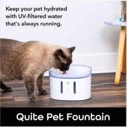 Geeni PetConnect UV Sterilized Circulating Water Smart Dog & Cat Fountain, 2-L -Cozy Paws 811790 PT4. AC SS1800 V1688759852