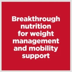 Hill's Science Diet Perfect Weight & Joint Support Chicken Flavored Adult Dry Dog Food -Cozy Paws 819494 PT1. AC SS1800 V1683207568