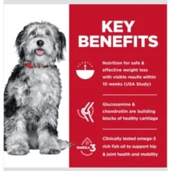 Hill's Science Diet Perfect Weight & Joint Support Chicken Flavored Adult Dry Dog Food -Cozy Paws 819494 PT3. AC SS1800 V1683207482