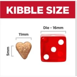 Hill's Science Diet Perfect Weight & Joint Support Chicken Flavored Adult Dry Dog Food -Cozy Paws 819494 PT4. AC SS1800 V1683207479