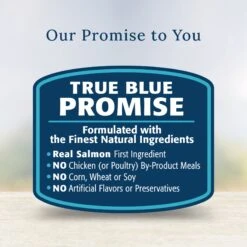 Blue Buffalo Basics LID Skin & Stomach Care Grain-Free Salmon In Gravy Adult Wet Dog Food Topper, 2.5-oz Pouch, Case Of 12 13 Blue Buffalo Basics LID Skin & Stomach Care Grain-Free Salmon In Gravy Adult Wet Dog Food Topper, 2.5-oz Pouch, Case Of 12 -Cozy Paws 821030 PT5. AC SS1800 V1680285642