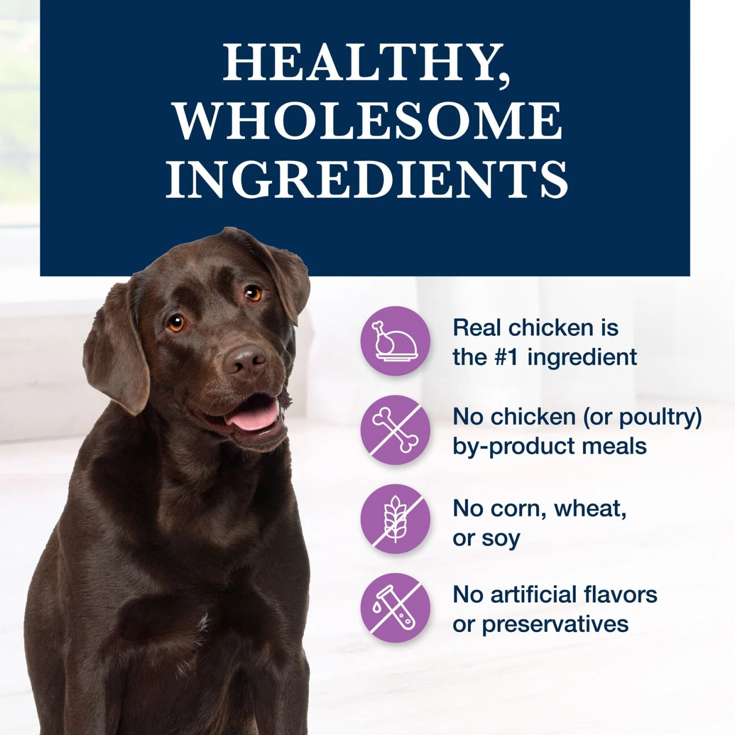 Blue Buffalo Natural Veterinary Diet W+U Weight Management + Urinary Care Dry Dog Food 8 Blue Buffalo Natural Veterinary Diet W+U Weight Management + Urinary Care Dry Dog Food - Image 6