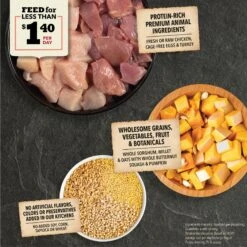 ACANA Wholesome Grains Real Chicken Eggs & Turkey Dry Puppy Food, 22.5-lb Bag 14 ACANA Wholesome Grains Real Chicken Eggs & Turkey Dry Puppy Food, 22.5-lb Bag -Cozy Paws 822678 PT3. AC SS1800 V1696276591