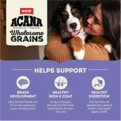 ACANA Wholesome Grains Large Breed Puppy Dry Dog Food, 22.5-lb Bag -Cozy Paws 822710 PT4. AC SS1800 V1682540620