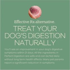 Yumwoof Natural Pet Food Perfect Digestion Dog Food Topper, 2.5-oz Jar -Cozy Paws 823806 PT2. AC SS1800 V1681230822