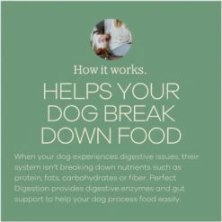 Yumwoof Natural Pet Food Perfect Digestion Dog Food Topper, 2.5-oz Jar -Cozy Paws 823806 PT4. AC SS1800 V1681230811