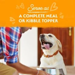 Natural Balance Limited Ingredient Reserve Grain-Free Duck Stew Wet Dog Food, 11-oz Box, Case Of 12 -Cozy Paws 825342 PT4. AC SS1800 V1681153416