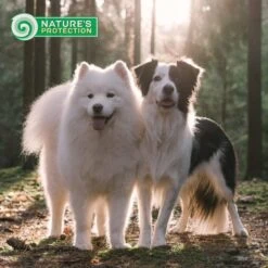 Nature's Protection Superior Care White Grain-Free Insect Adult Small Breed Dry Dog Food -Cozy Paws 825494 PT7. AC SS1800 V1700162168