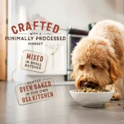 Stella & Chewy's SuperBlends Raw Coated Wholesome Grains Cage-Free Chicken & Duck Recipe With Superfoods Dry Dog Food -Cozy Paws 825846 PT8. AC SS1800 V1683552798