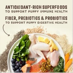 Stella & Chewy's SuperBlends Raw Blend Wholesome Grains Puppy Cage-Free Chicken & Wild Caught Salmon Recipe With Superfoods Dry Dog Food -Cozy Paws 825926 PT4. AC SS1800 V1683565417