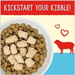 Stella & Chewy's Freeze-Dried Grain-Free Protein Rich Recipe Raw Dandy Lamb Meal Mixer Dog Food Topper, 35-oz Bag -Cozy Paws 826030 PT1. AC SS1800 V1683566380