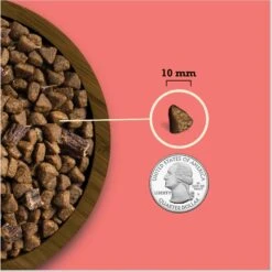 ACANA Butcher’s Favorites Grain-Free Farm-Raised Beef & Liver Recipe Dry Dog Food -Cozy Paws 826590 PT5. AC SS1800 V1682018306