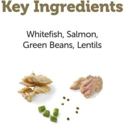 Applaws Taste Toppers Whitefish With Salmon, Green Beans & Lentils Recipe In Gravy Natural Wet Dog Food, 3-oz Pouch, Case Of 12 -Cozy Paws 836934 PT2. AC SS1800 V1687893702