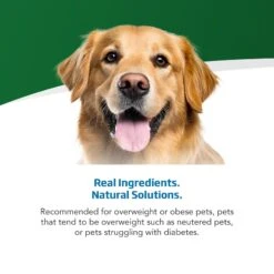 Farmina Vet Life Caloric Control Canine Dry Dog Food -Cozy Paws 837862 PT3. AC SS1800 V1703880228
