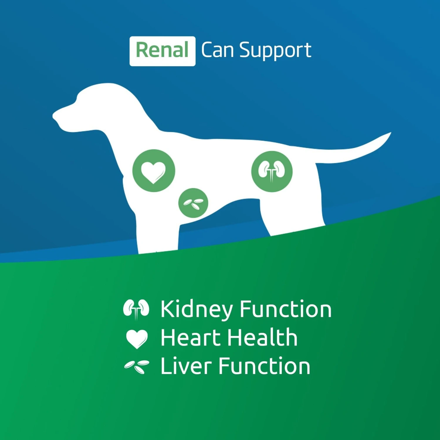 Farmina Vet Life Renal Canine Dry Dog Food 4 Farmina Vet Life Renal Canine Dry Dog Food - Image 2