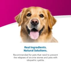 Farmina Vet Life Urinary ST Management Canine Dry Dog Food -Cozy Paws 837910 PT3. AC SS1800 V1703880228