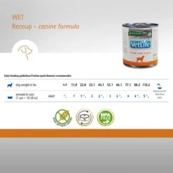 Farmina Vet Life Recoup Recipe In Gravy Wet Dog Food, 10.6-oz Can, Case Of 6 -Cozy Paws 838086 PT4. AC SS1800 V1703880411