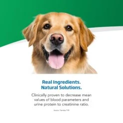 Farmina Vet Life Renal Recipe Wet Dog Food -Cozy Paws 838150 PT3. AC SS1800 V1703880173