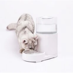 Hanamya Automatic Water Dispenser With 3 Liter Capacity Dog & Cat Waterer, White -Cozy Paws 838830 PT2. AC SS1800 V1682371270