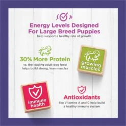 Puppy Chow High Protein With Real Chicken Large Breed Dry Puppy Food -Cozy Paws 839694 PT7. AC SS1800 V1701881648