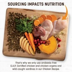 Earth Animal Wisdom Air-Dried Chicken Recipe Premium Natural Dog Food, 2-lb Bag -Cozy Paws 840086 PT2. AC SS1800 V1684334790
