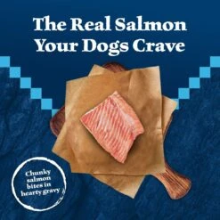 Blue Buffalo Wilderness Trail Toppers Wild Cuts Chunky Salmon Bites In Hearty Gravy Grain-Free Dog Food Topper -Cozy Paws 84138 PT2. AC SS1800 V1646795191