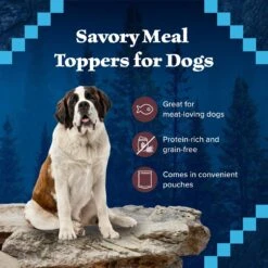 Blue Buffalo Wilderness Trail Toppers Wild Cuts Chunky Salmon Bites In Hearty Gravy Grain-Free Dog Food Topper -Cozy Paws 84138 PT3. AC SS1800 V1646779289