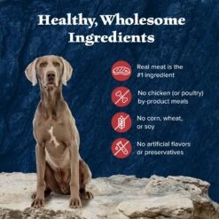 Blue Buffalo Wilderness Rocky Mountain Recipe Red Meat Dinner Senior Grain-Free Canned Dog Food -Cozy Paws 84154 PT5. AC SS1800 V1646787495