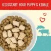 Stella & Chewy's Freeze-Dried Raw Meal Mixers Grain-Free Protein Rich Beef & Salmon Recipe Dog Food