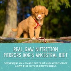 Stella & Chewy's Freeze-Dried Raw Meal Mixers Grain-Free Protein Rich Beef & Salmon Recipe Dog Food -Cozy Paws 842070 PT4. AC SS1800 V1683566318