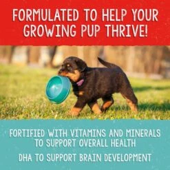 Stella & Chewy's Freeze-Dried Raw Meal Mixers Grain-Free Protein Rich Beef & Salmon Recipe Dog Food -Cozy Paws 842070 PT5. AC SS1800 V1683561628