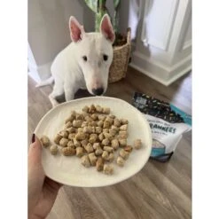 Sprankles Beef Recipe Freeze-Dried Raw Dog Food -Cozy Paws 842854 PT4. AC SS1800 V1694787979