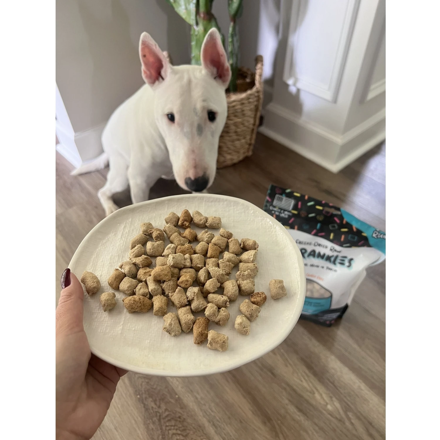 Sprankles Chicken Recipe Freeze-Dried Raw Dog Food 8 Sprankles Chicken Recipe Freeze-Dried Raw Dog Food - Image 6