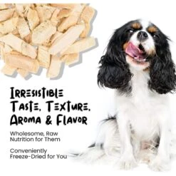 Sprankles Chicken Breast Grain-Free Freeze-Dried Dog & Cat Treats -Cozy Paws 842894 PT3. AC SS1800 V1683815689
