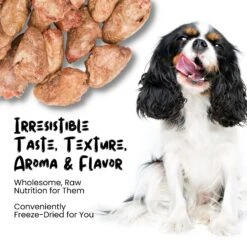 Sprankles Chicken Hearts Grain-Free Freeze-Dried Dog Treats -Cozy Paws 842974 PT3. AC SS1800 V1683816335