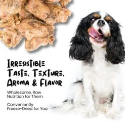 Sprankles Duck Hearts Grain-Free Freeze-Dried Cat & Dog Treat -Cozy Paws 842990 PT3. AC SS1800 V1683816339