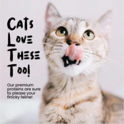 Sprankles Duck Hearts Grain-Free Freeze-Dried Cat & Dog Treat -Cozy Paws 842990 PT4. AC SS1800 V1683817250