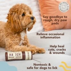 Natural Dog Company Paw Soother Dog Paw Balm, 2-oz Stick -Cozy Paws 843438 PT2. AC SS1800 V1701882134