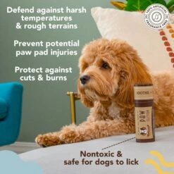 Natural Dog Company PawTection Dog Paw Protector Balm, 2-oz Stick -Cozy Paws 843454 PT2. AC SS1800 V1701881411