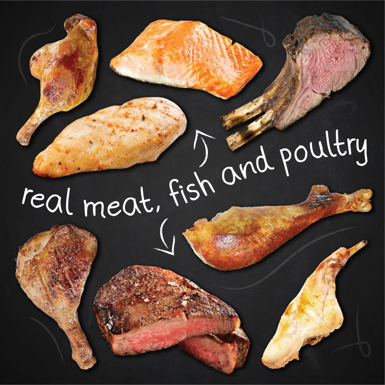 Hound & Gatos Pork & Pork Liver Dog Wet Food, 13-oz Can, 12 Count 6 Hound & Gatos Pork & Pork Liver Dog Wet Food, 13-oz Can, 12 Count - Image 4