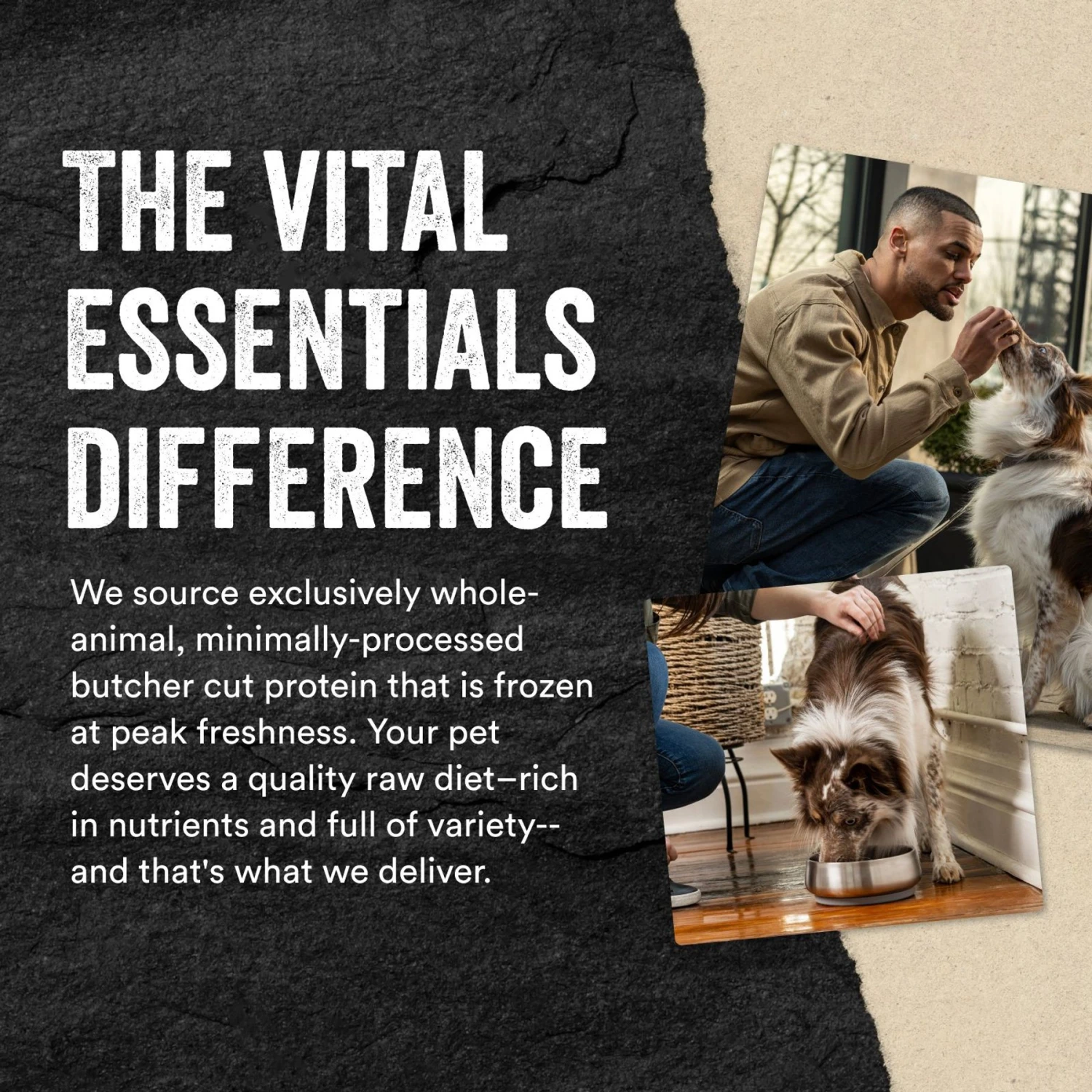 Vital Essentials Protein Mix-In Salmon Recipe Mini Nibs Grain-Free Freeze-Dried Raw Dog Food Topper 8 Vital Essentials Protein Mix-In Salmon Recipe Mini Nibs Grain-Free Freeze-Dried Raw Dog Food Topper - Image 6