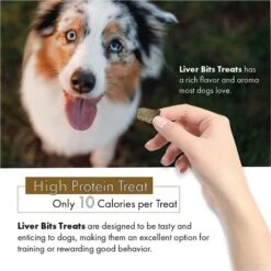 Liver Bits Freeze-Dried Raw Dog Treats, 4-oz Bag -Cozy Paws 84726 PT3. AC SS1800 V1687360457