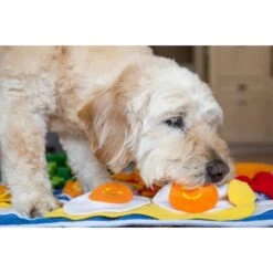 Injoya Breakfast Cat & Dog Snuffle Mat, Blue, Large -Cozy Paws 848038 PT2. AC SS1800 V1683732043